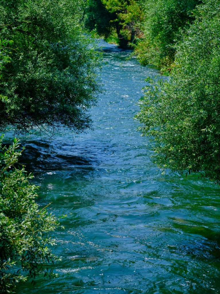 A tranquil river flows between vibrant green shrubs, creating a peaceful natural scene.